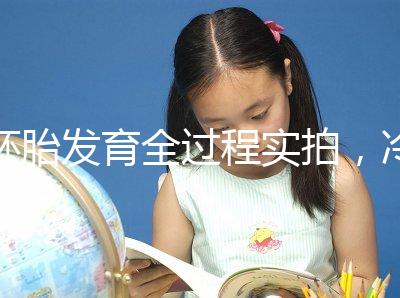 胚胎發(fā)育全過程實(shí)拍，冷凍胚胎移植后著床圖解（視頻）