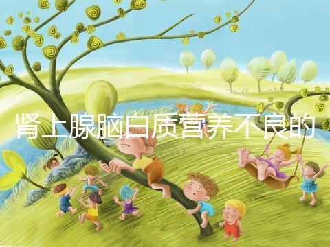 腎上腺腦白質營養(yǎng)不良的遺傳概率，如何避免遺傳？