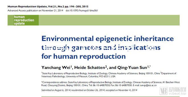 苜蓿草的功效與作用（苜蓿草的功效與作用圖片）