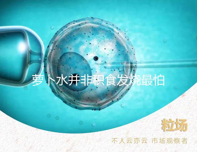 蘿卜水并非積食發燒最怕的1種水，天天煮這些喝胃口倍棒