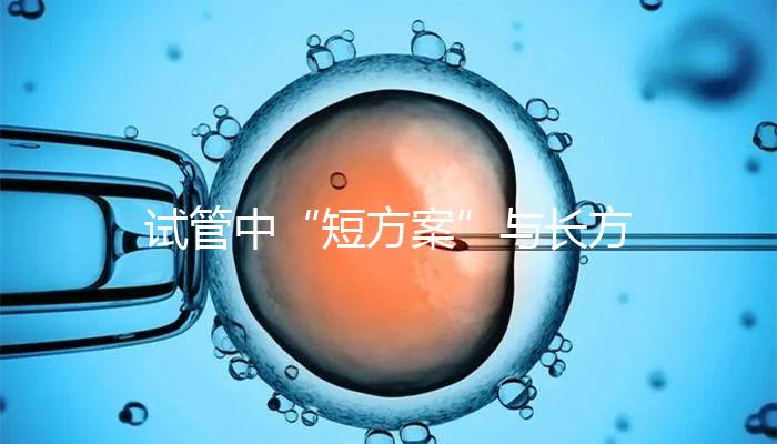 試管中“短方案”與長(zhǎng)方案區(qū)別分析,時(shí)間并非唯一差異