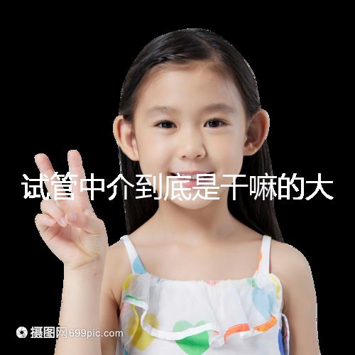 試管中介到底是干嘛的大揭秘！不合法機構真不可靠