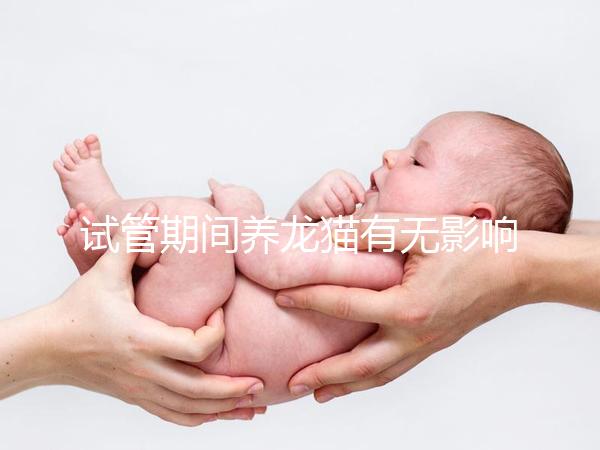 試管期間養(yǎng)龍貓有無(wú)影響剖析，是否胎停、流產(chǎn)取決這幾點(diǎn)