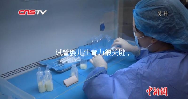 試管嬰兒生育力很關(guān)鍵，4個(gè)方面評(píng)估好不好？