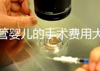 試管嬰兒的手術(shù)費(fèi)用大概是多少