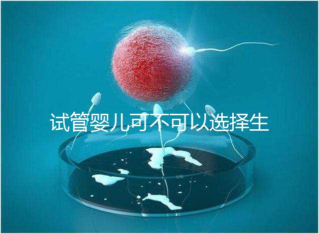 試管嬰兒可不可以選擇生男生女(試管嬰兒可不可以選擇生男生女嗎)