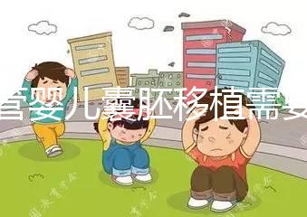 試管嬰兒囊胚移植需要滿足什么條件？