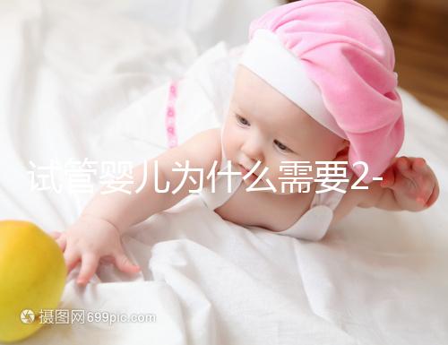 試管嬰兒為什么需要2-3個月？揭秘時間背后的科學奧秘