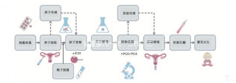 試管嬰兒一代，二代，三代有什么區別嗎，應該如何選擇？