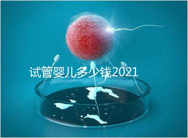 試管嬰兒多少錢2021（試管嬰兒多少錢2021年成功率）