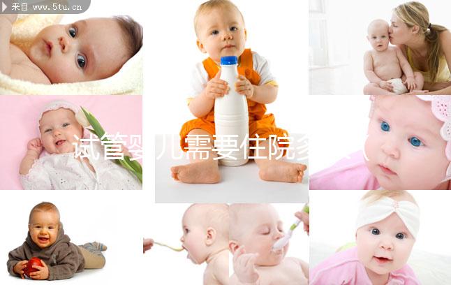 試管嬰兒需要住院多久(試管嬰兒需要住院多久才能上班)