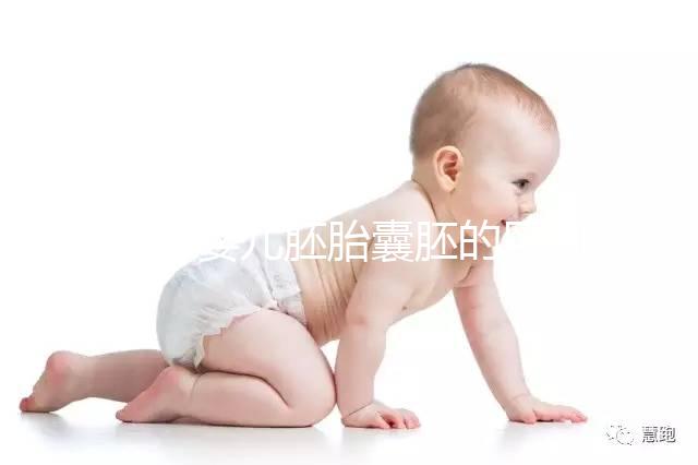 試管嬰兒胚胎囊胚的區(qū)別,成功率哪個高