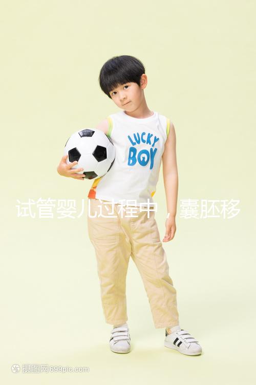 試管嬰兒過程中，囊胚移植和鮮胚移植哪個成功率更高？