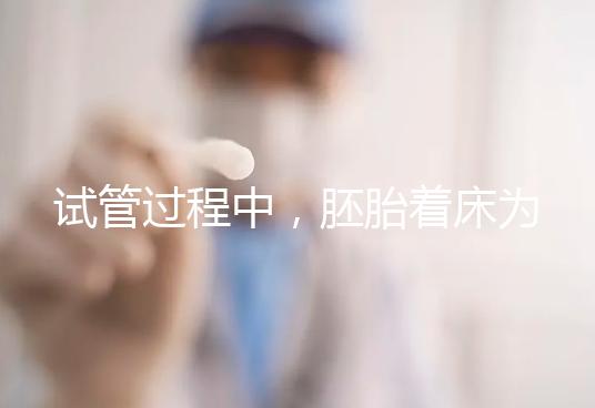 試管過程中，胚胎著床為什么會失敗？4個原因和4個方案都告訴你！