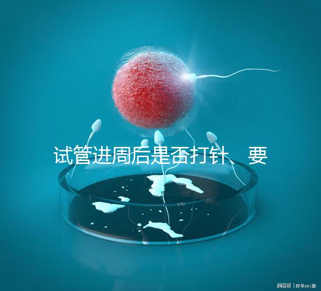 試管進周后是否打針、要不要注射肝素60s說清，備孕的速覽