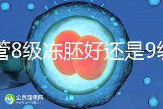 試管8級凍胚好還是9級好進來瞧，看完二者區(qū)別全明白
