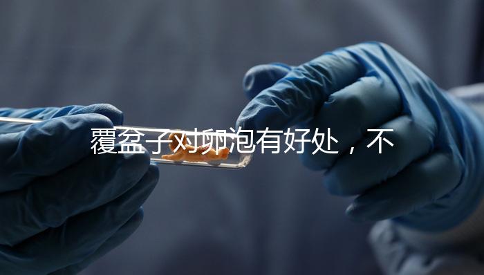 覆盆子對(duì)卵泡有好處,不要錯(cuò)過維持卵巢早衰,軟化宮頸