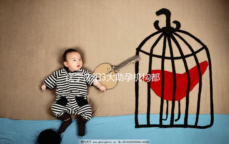 遼寧沈陽3大助孕機構都在這，來看看你知道幾家