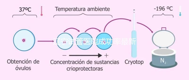 遼寧試管醫(yī)院成功率最新前十排名流出，盛京醫(yī)院竟錯(cuò)失榜首