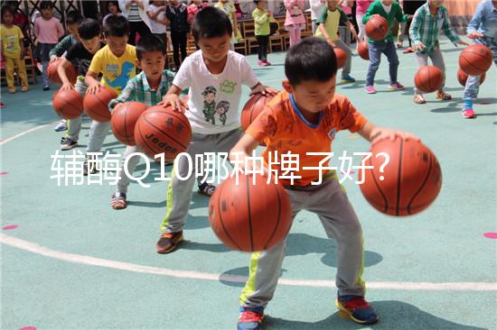 輔酶Q10哪種牌子好?10種不同品牌價格與優(yōu)勢對比分析