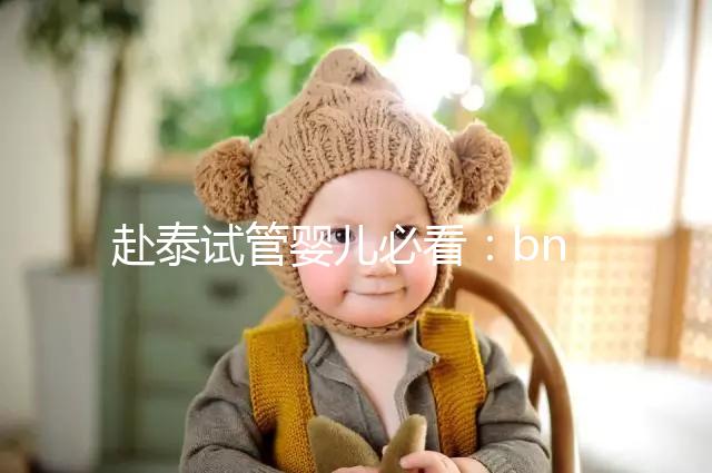 赴泰試管嬰兒必看:bnh和ibaby(愛寶貝)醫(yī)院對比介紹