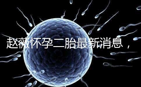 趙薇懷孕二胎最新消息,大肚子照公布網(wǎng)友紛紛送祝福