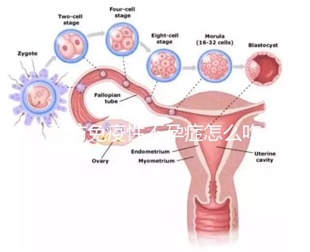 預防免疫性不孕癥怎么吃？