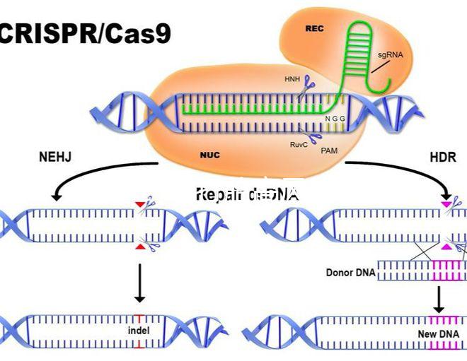 47歲藥流打胎高風(fēng)險!這5大后果極易威脅身體健康