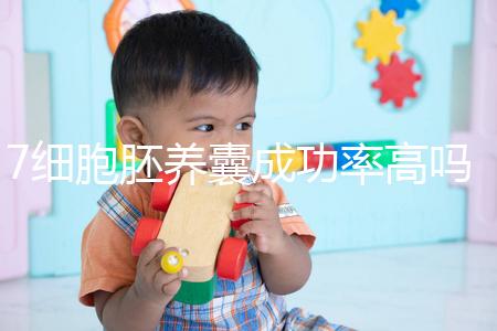 7細胞胚養囊成功率高嗎？聽聽做過試管的姐妹怎么說