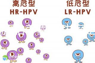 6個(gè)胚胎養(yǎng)囊成功率是多大答案在這，能配成3個(gè)機(jī)會就大