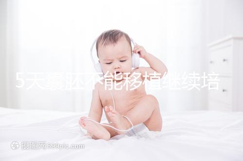 5天囊胚不能移植繼續培養?美國試管專家為您解析!