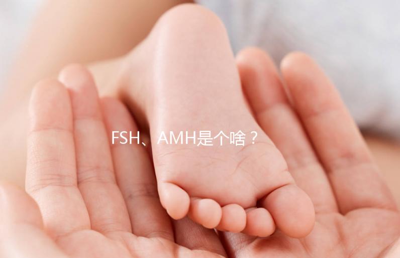 FSH、AMH是個(gè)啥？卵巢功能好不好看這些指標(biāo)！