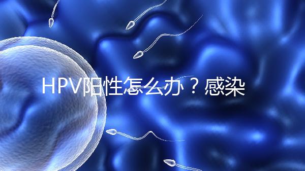 HPV陽(yáng)性怎么辦?感染了HPV就會(huì)得宮頸癌嗎?