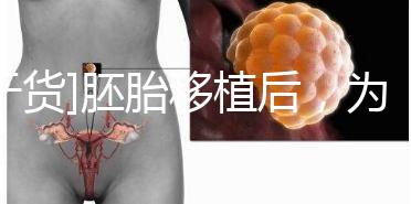 [干貨]胚胎移植后，為什么醫生告訴你不要提前懷孕？