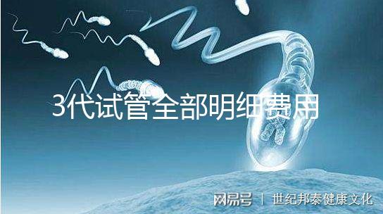 3代試管全部明細費用