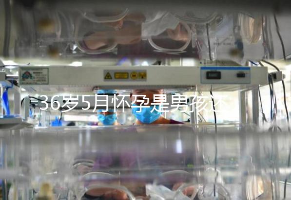 36歲5月懷孕是男孩還是女孩？這些生男生女特征可以看看