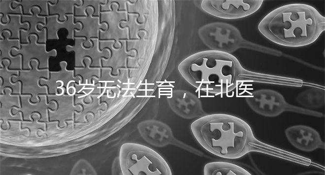 36歲無法生育,在北醫三院做人工授精成功率有多少?