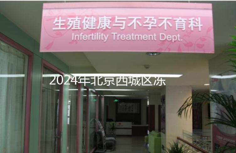 2024年北京西城區(qū)凍卵3個月更新費用!選擇合適的機構非常重要!