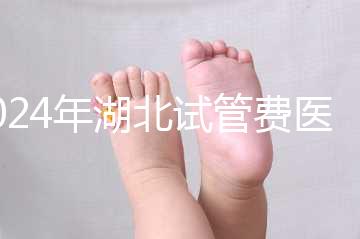 2024年湖北試管費醫療保險可以報銷？專家：時間還沒到？