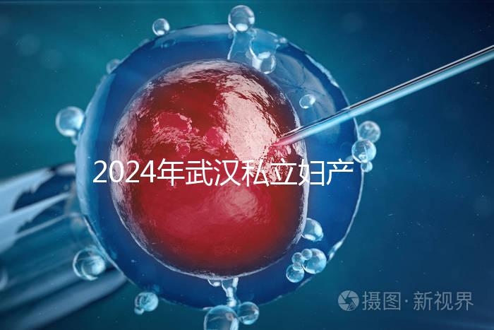 2024年武漢私立婦產醫院排名前十，江漢區人流良好