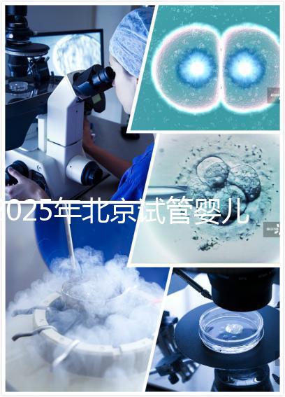 2025年北京試管嬰兒全費(fèi)用概覽：了解您的預(yù)算需求！