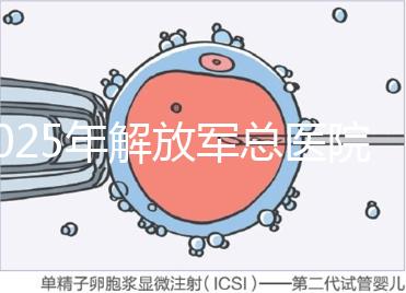 2025年解放軍總醫院第七醫學中心做試管嬰兒的費用明細，現在做試管多少錢？