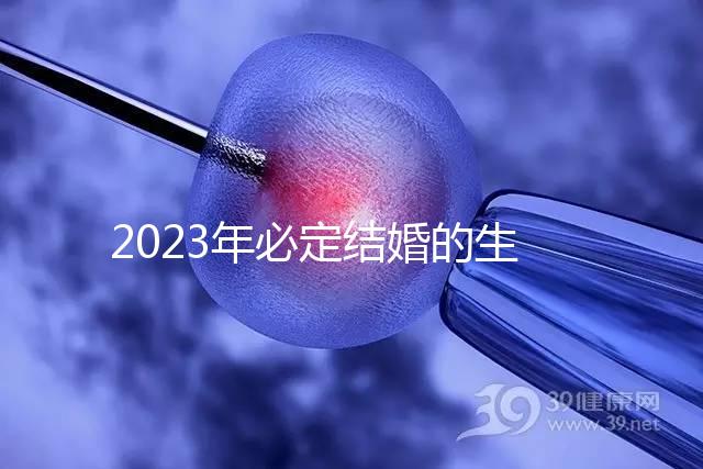2023年必定結婚的生肖匯總，屬鼠、牛女均有望順利成婚