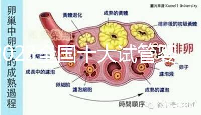 2023全國十大試管嬰兒醫(yī)院排名出爐,這些成功率太高首推薦