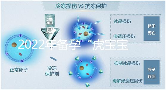 2022年備孕“虎寶寶”時間表，生孩子選這幾個月命最好