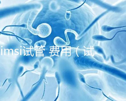 imsi試管 費(fèi)用（試管imsi是什么意思）